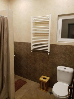 Guest house Tkhibuli